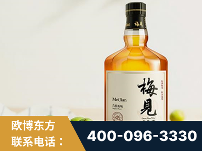 武威-梅见青梅酒